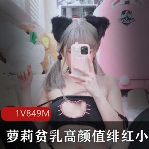 绯红小猫合集：妹子飞机场高颜值的迷人角色扮演